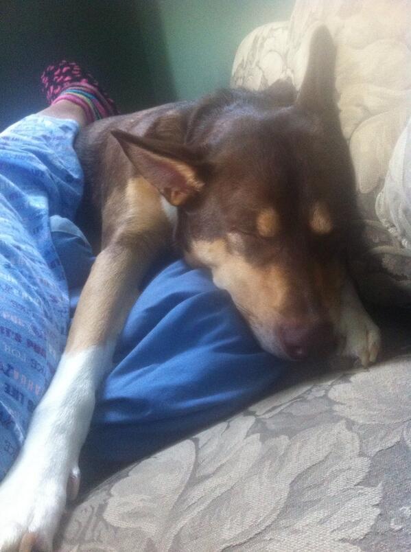 xoRachelK's tweet image. 😯 One more final to go.. This has to be the easiest finals week EVER. #LastSemester #LetsGetSummerStarted