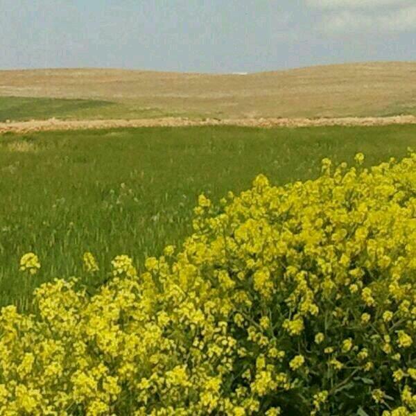 مقاوﻻت عامه الرياض (@www1010448) on Twitter photo 