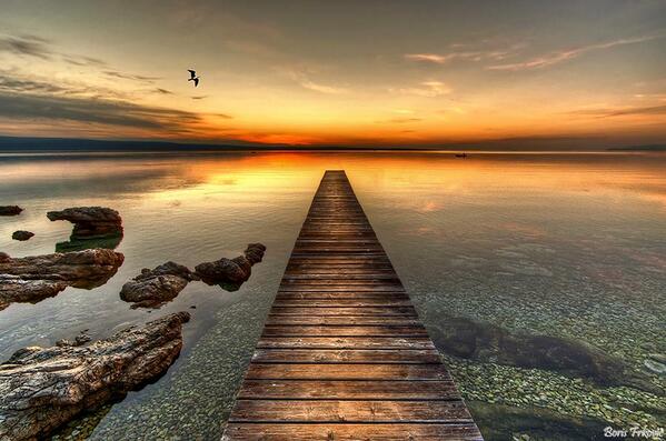 Gabriele Corno tweet media