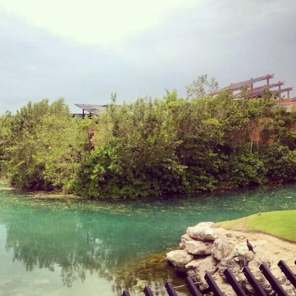 Entrenando en <a href="/mayakoba/">mayakoba</a> para el <a href="/WebDotComTour/">Korn Ferry Tour</a>