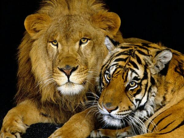 inmanay1994's tweet photo. Qué preciosidad http://t.co/JC0JFDxgGo