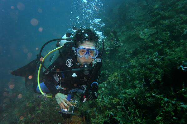 taufik_its's tweet photo. test #FujiXQ1 #underwater by @endra_martini #sekotong model @veronika_en cc @Fujifilm_ID @samuelong_sinar http://t.co/dw1mFSJ0Bu