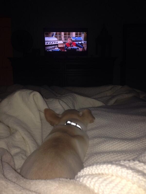annesalz's tweet photo. Coffee in bed with this snuggle muffin http://t.co/rlmeKlmvRU