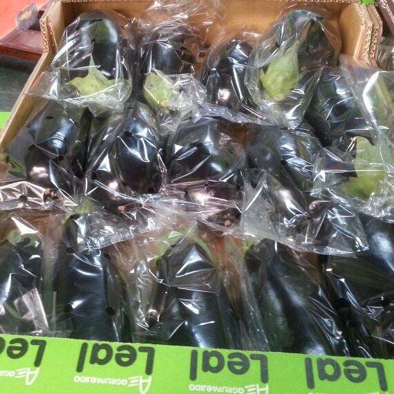 Aubergine very strong, every week 3 trucks to Russia, good quality and cheap price