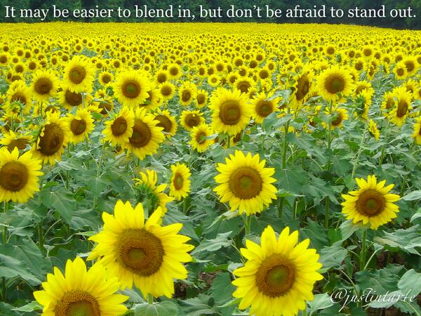 It may be easier to blend in, but don't be afraid to stand out... #edchat