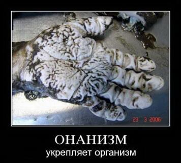 69Repa's tweet image. Это нереально #смешно ))) Такая #ржака ребята, жесть, супер #позитив!!!! ))))