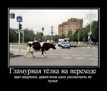 ржака