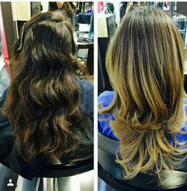 Shear Vanity Inc. (ShearVanityInc_) Twitter