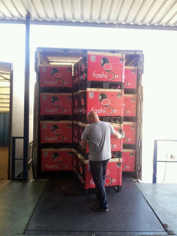 preparing everything for Fashion watermelón! tasty and delicious