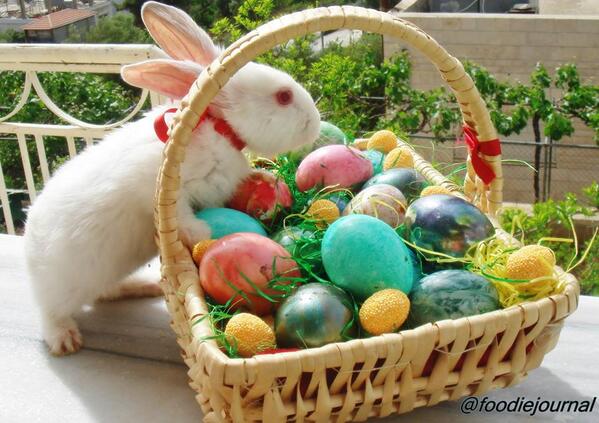 foodiejournal's tweet image. Happy Easter to you all, enjoy your holidays #easterbunny #colouredeggs #HappyEaster