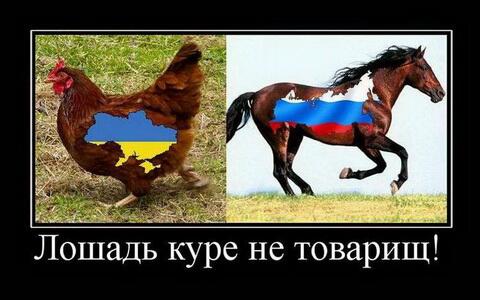 ржака