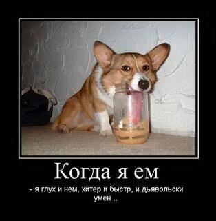 VarvaraKash's tweet photo. блин эта умора просто капец #ржака... это не передать слова как я ржала) http://t.co/b5DiX7NLcN