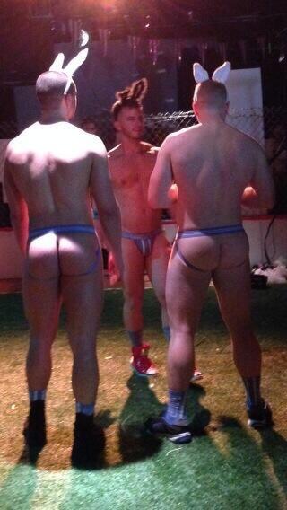 MichaelMoW's tweet photo. Now these are Easter bunnies http://t.co/cmrEl92CVi