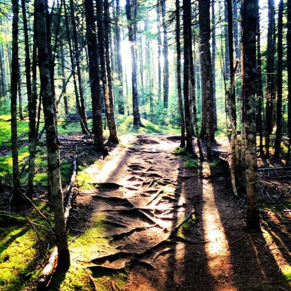 Drivescribe's tweet image. Don&apos;t miss road tripping to Maine this summer!! @ToyotaTeenDrivr @mashable #drivesafe