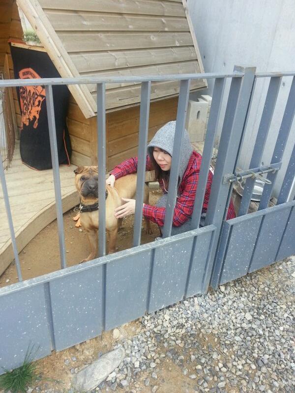 #ㅋㅋㅋ 일본손님이  가호집에 들어갔네