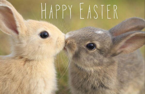 Chris (@ccarigiet) on Twitter photo 