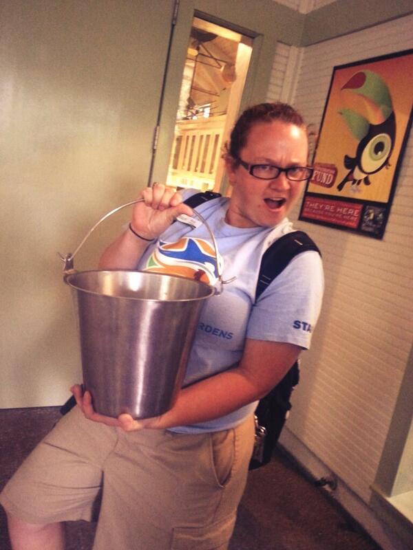 Kruss1996's tweet image. #Rizzoisthebest