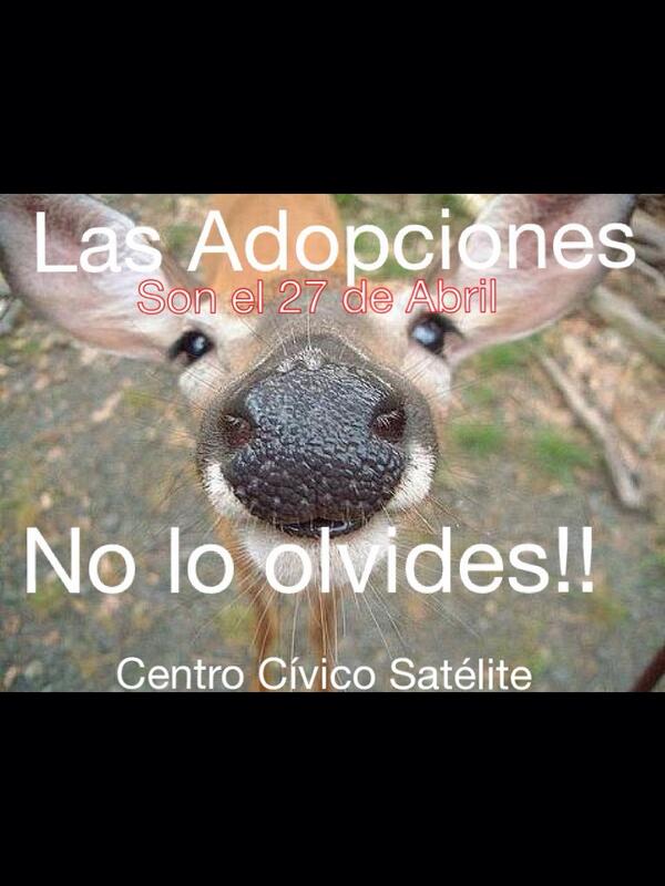 DomingoSateluco's tweet photo. http://t.co/gVqIIUyPJN