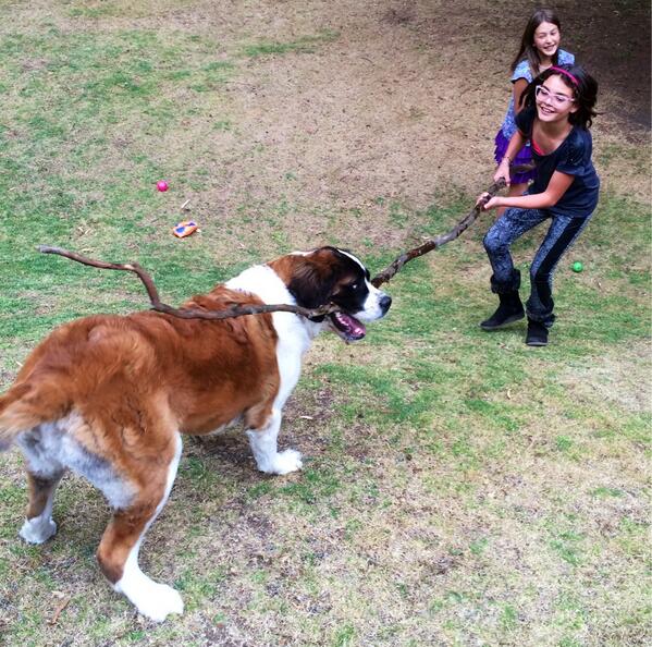 Foto de hoy en la tarde jugando con Pau y Lía con un palito que me encontré, jijiji