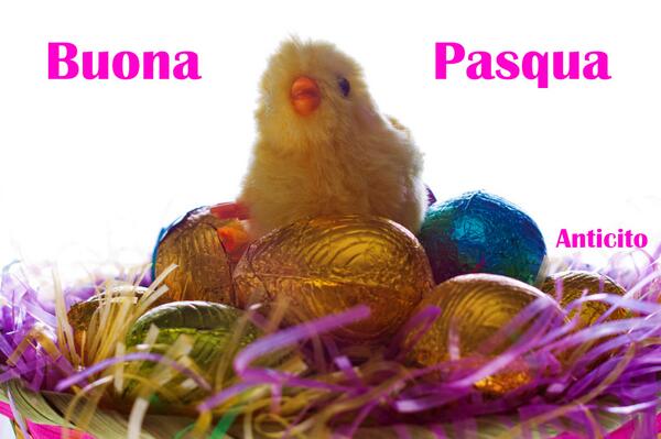 #buonapasqua da #Anticito #pasqua #pasqua2014 #easter #AnticitoOnlus
