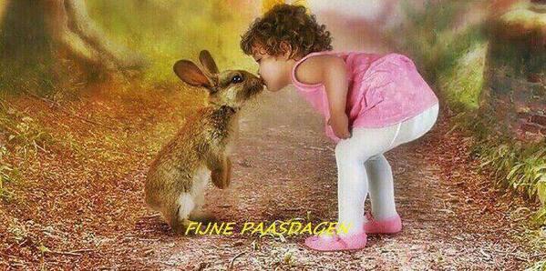 eenjes tweet picture
