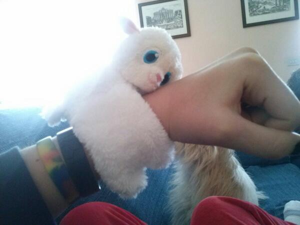 Fefe_Mattioli's tweet image. #Papam regali pontenti dell'uovo di pasqua