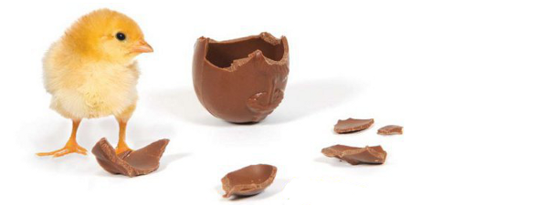 SalonAsphodele's tweet photo. Joyeuses pâques à tous ! 

#paques2014 http://t.co/f2Wd592b5r