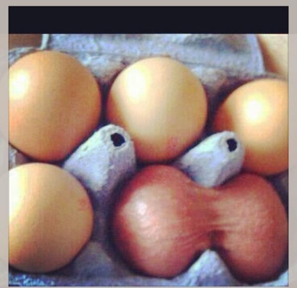 leewhittycarp's tweet photo. Happy Easter folks 😂 http://t.co/xP5LHIboAL