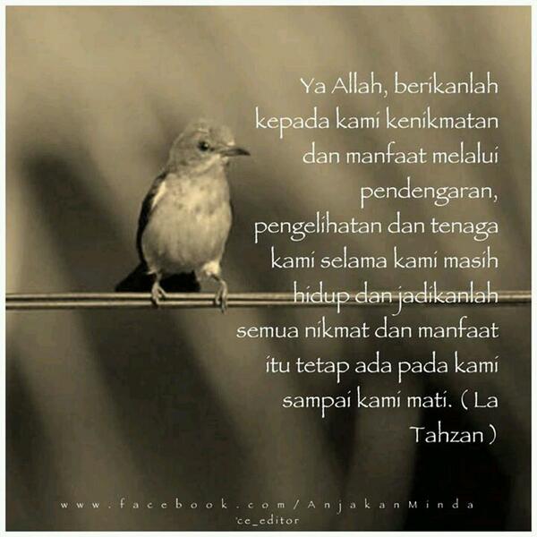 #DoaIndah <a href="/HabibAliZainal/">#HAZ</a> <a href="/eddydaud/">ايدي بن داود Eddy Daud</a> @matkilaupenang <a href="/APterkini/">#APTerkini</a> <a href="/teachernurkasih/">Anna Aman</a> <a href="/IrnizaSulaiman/">irniza sulaiman</a> <a href="/blackmerz101/">𝓦𝓱𝔂 ~ 𝓦𝓱𝔂</a>