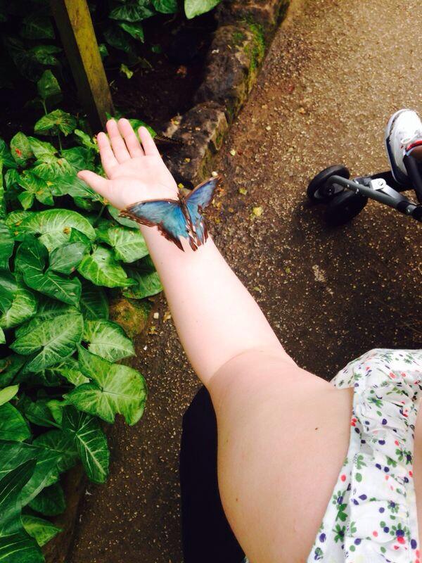 AimeeBella (@bellaaimeeXx) | Twitter