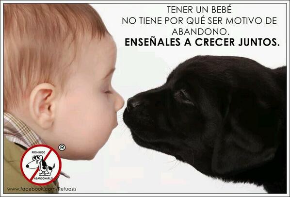 ZarpaProtecAnim's tweet image. Enséñales a crecer juntos