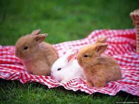 Happy #EasterSunday ! Join us for brunch until 3pm.