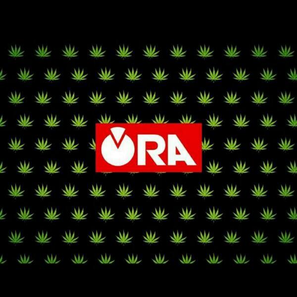 ORA2013's tweet image. Also... HAPPY 4/20
Go get high an eat ham with your aunt or something