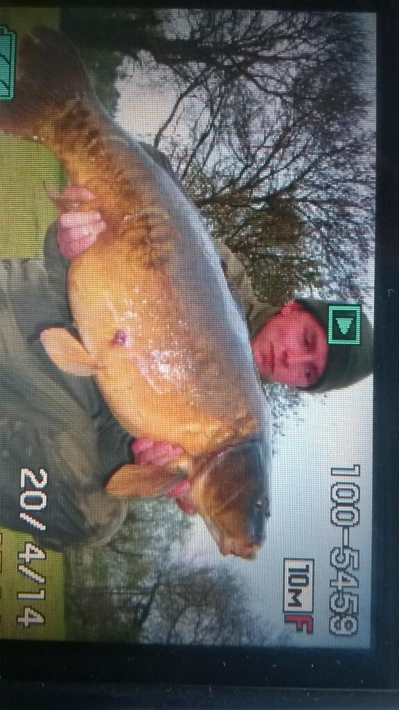 KnightyJoe's tweet image. 