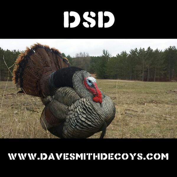 DaveSmithDecoys's tweet photo. Simply RT for a chance to win the $50 #DSDecoys giftcard. We'll randomly select winner Tuesday 7pm CST! #DSDstrutter http://t.co/wzEE2sYy2e