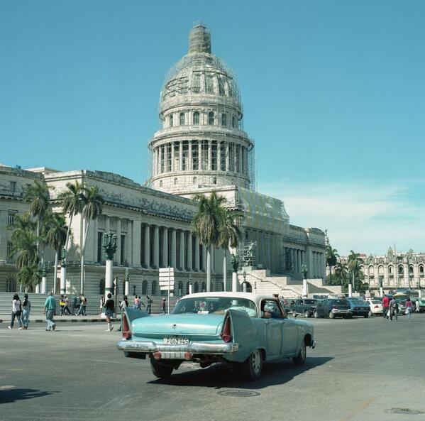 cultportal tweet media