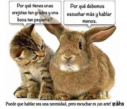 Malina Lefort tweet media