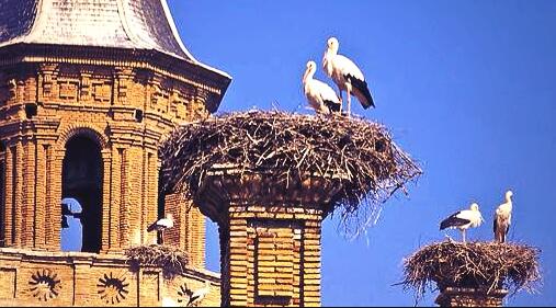 No se puede ser mejores anfitriones, ni tratar mejor a la gente... GRACIAS #Alfaro!! De todo corazón. #DíaInolvidable