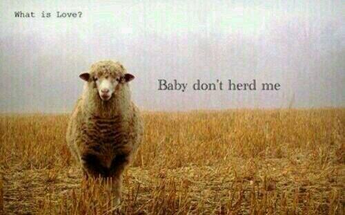 annabelvanhulst's tweet photo. ★ http://t.co/9FYp4IfNwD