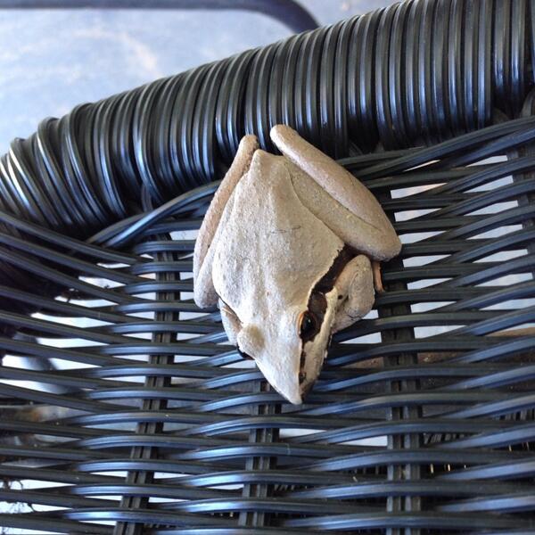 Old Cheese Eyes tweet media