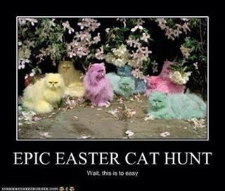 Anonlucid's tweet photo. =^___^= http://t.co/8XGwMi6UXX
