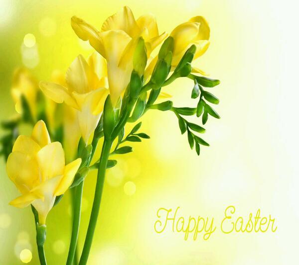 Recowest's tweet image. Happy Easter Everyone!
