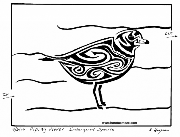 cryptomazes's tweet image. Great Lakes Piping Plover Maze - heretoamaze.com/2014/04/20/gre…