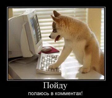 jitylpsiga's tweet photo. Эта картинка просто #ржака я как её увидела сразу на полу валялася от #смеха http://t.co/4SBaPSOKPW