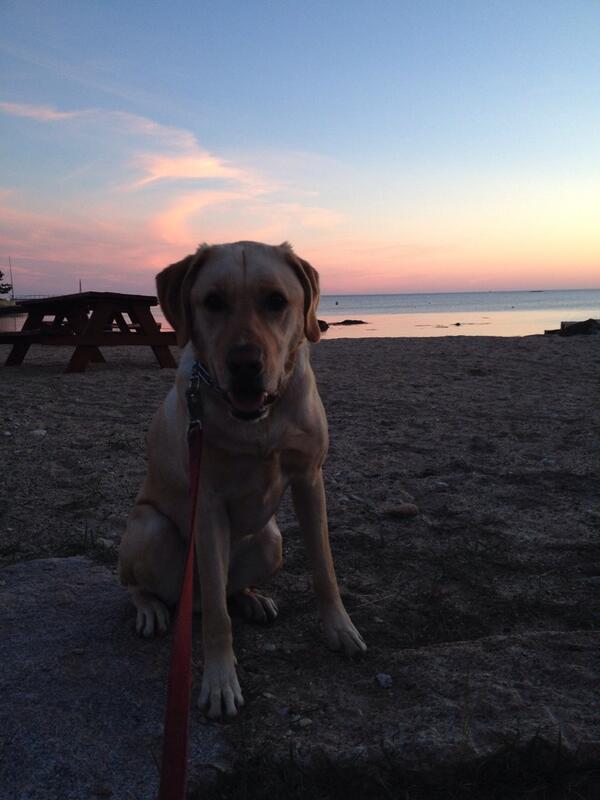 TuckProblems's tweet image. thanks for the walk @djciar02 see you in a few weeks!