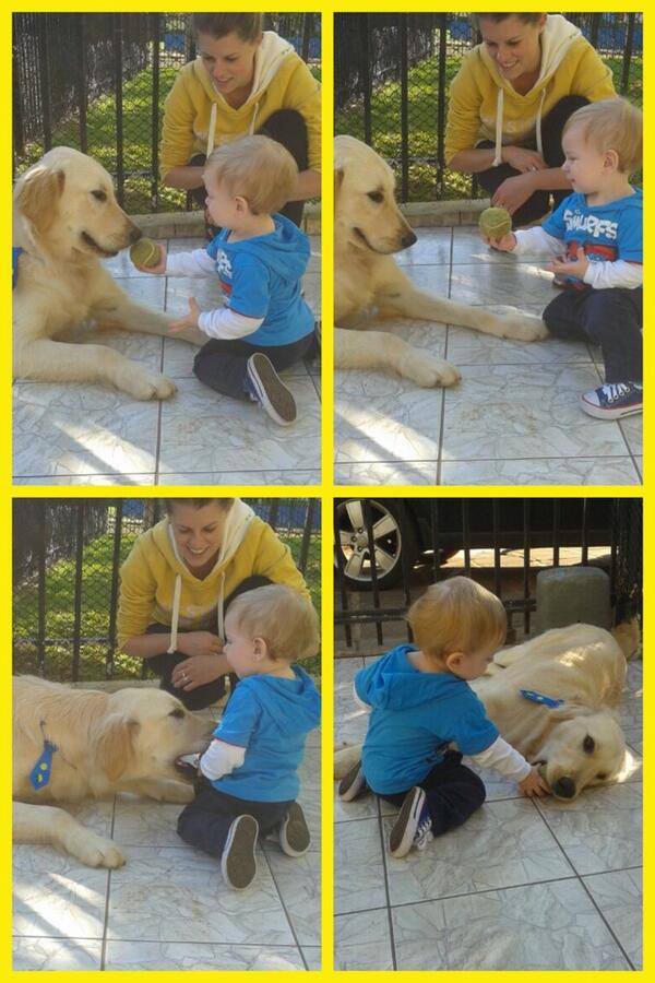 jacquetoldo's tweet photo. Bolinha para o Bola!! http://t.co/0ekrHRXKZG http://t.co/gyDhB9B4BP