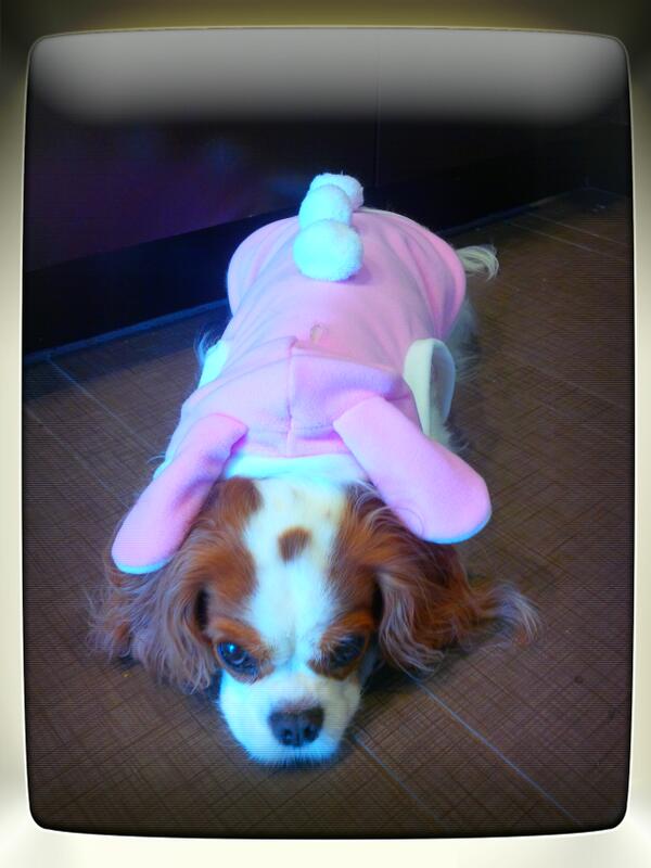 Some bunny loves you on Easter! #MyMommyMadeMeWearThis