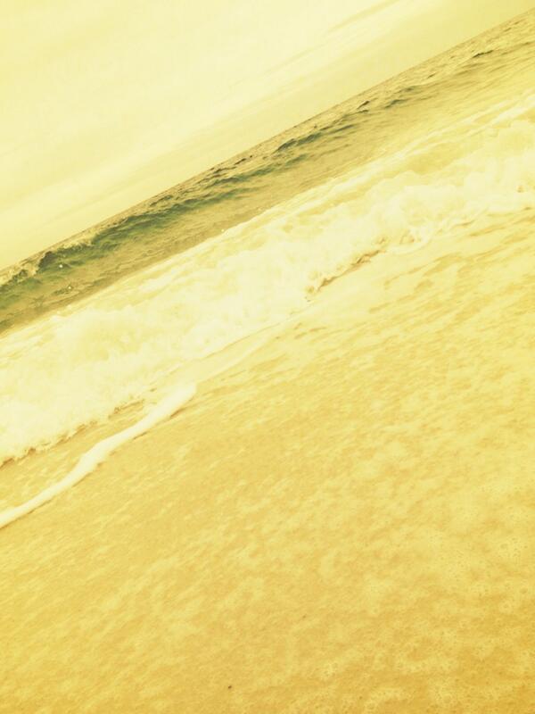 klcarldon tweet picture