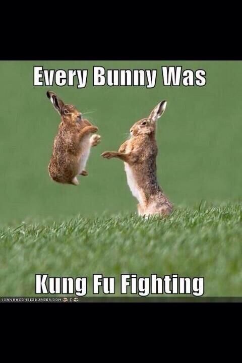 JadedToad's tweet photo. #HappyEaster hope everyone enjoyed a weekend of #friends #food and #family #funny #windsor #sonomacounty #beergarden http://t.co/gsvzMMSska