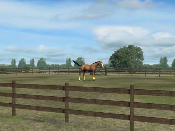 jaymee_doza's tweet photo. Check out my photo! Add me, RandomRebel91. #MyHorse  http://t.co/K1gpmuiw97 http://t.co/eITXj2vcl0